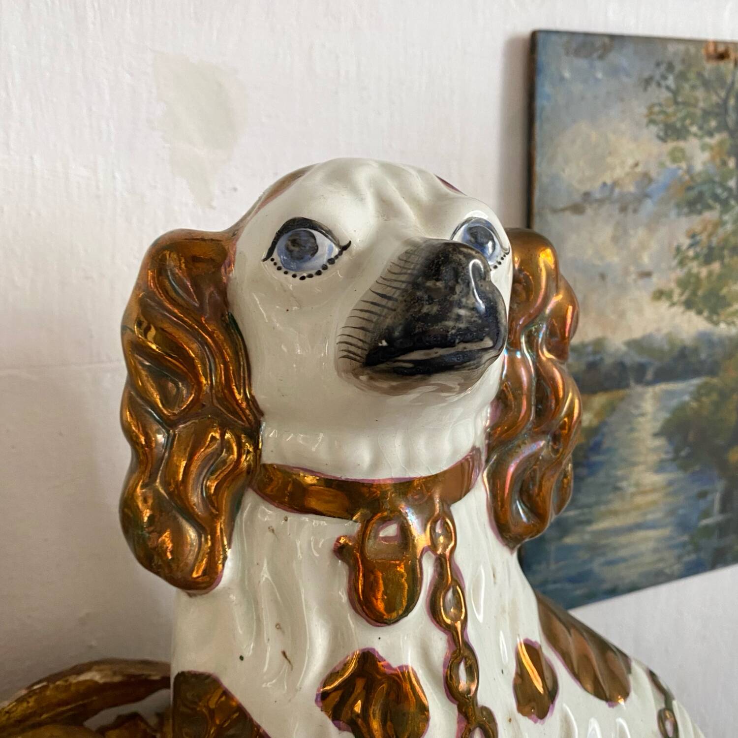 Chien Straffordshire , cavalier King, Charles