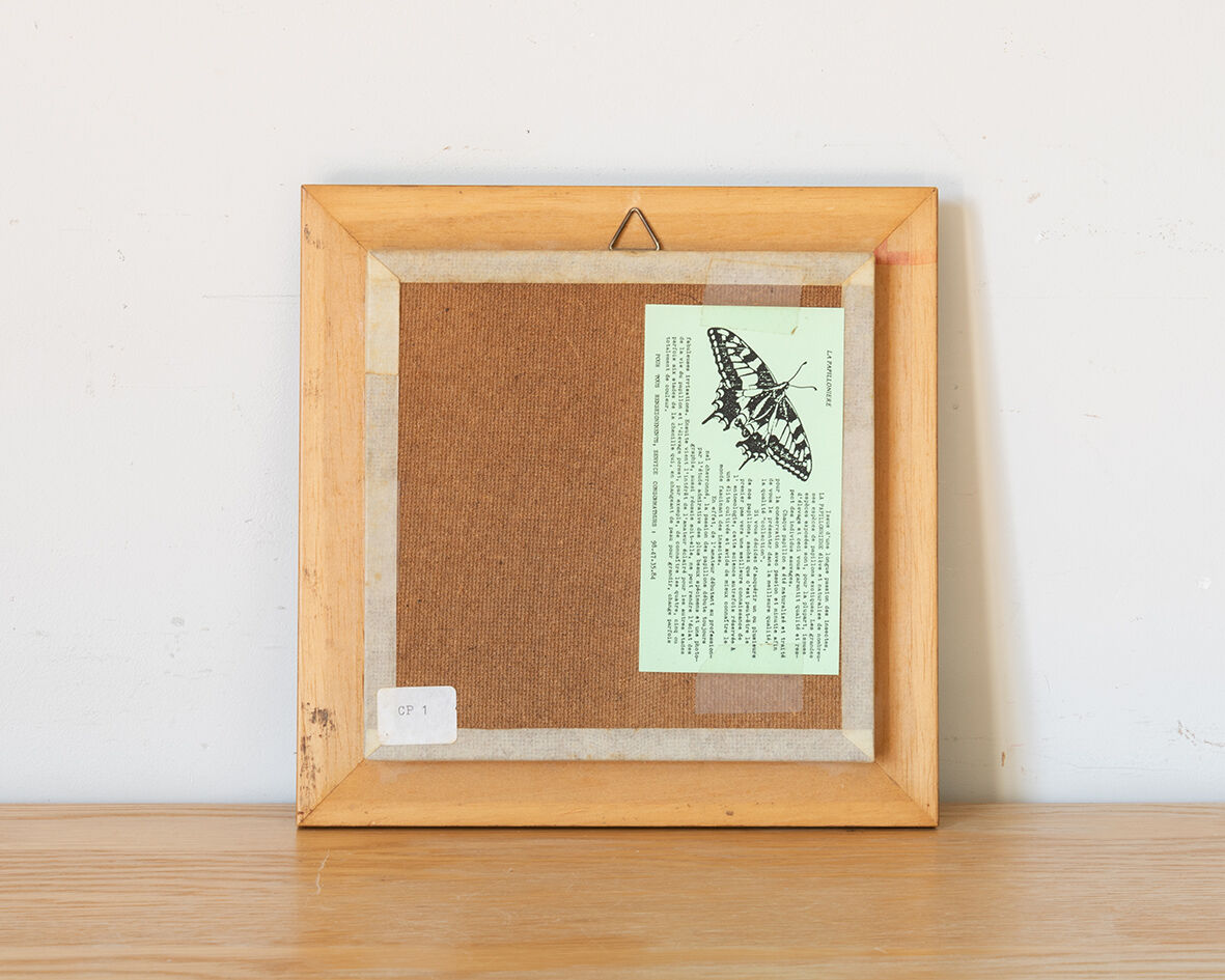 Butterfly frame
