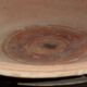 600-500 bc j-c plate from ancient Greece
