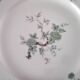 8 Assiettes plates en porcelaine de Limoges Salmon & Cie