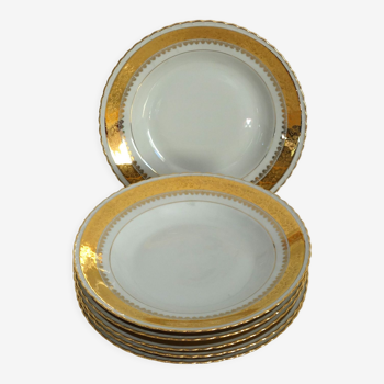 Set of 6 luxury porcelain hollow plates Limoges ADP France