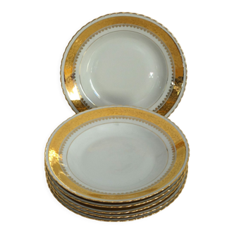 Set of 6 luxury porcelain hollow plates Limoges ADP France