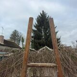 Echelle de cueillette en bois