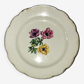 A gien bretagne plate from vercor