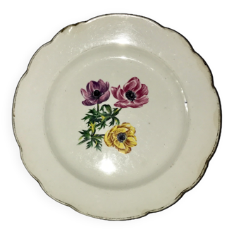 A gien bretagne plate from vercor