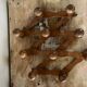 Wooden accordion wall coat rack