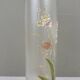 Enameled glass vase 1900