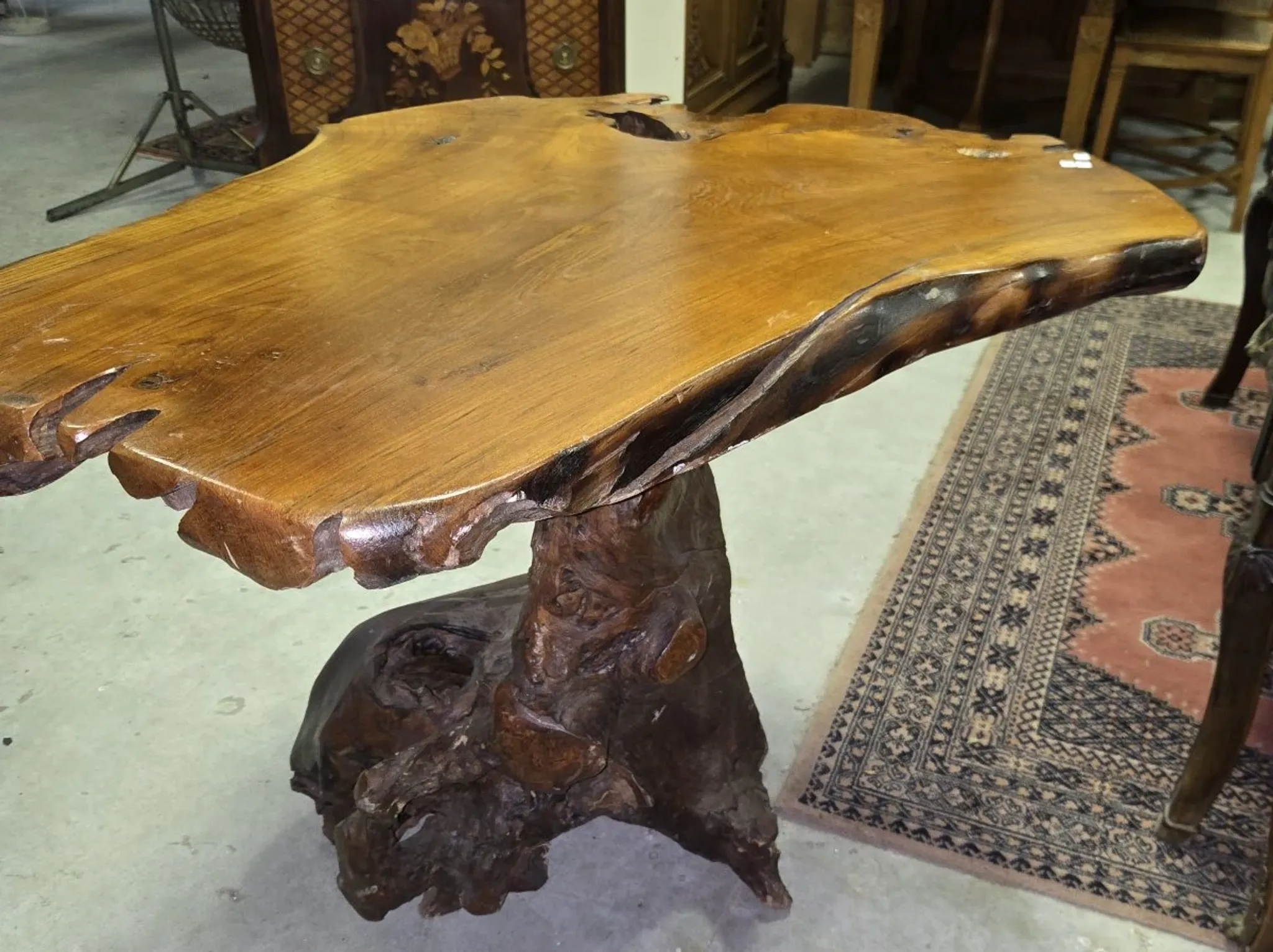 Sculpted olive wood table, made from a root.