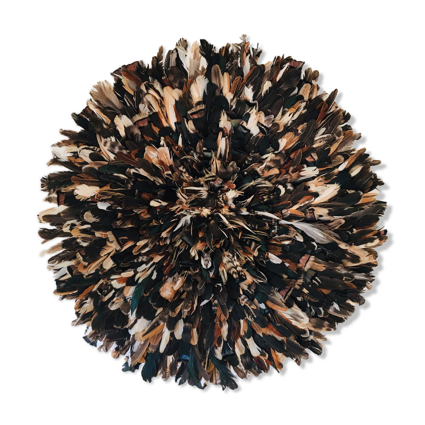Speckled black jujuhat 80 cm