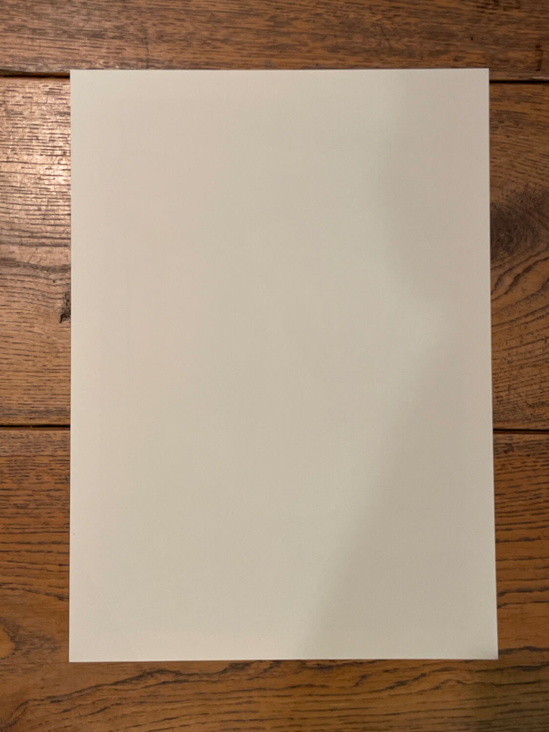 Chanel photo Karl Lagerfeld cruise 3