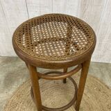Fischel cane stool
