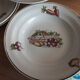 9 hollow plates cerarnord saint amand vegetable model