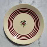 7 gien plates