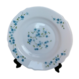 Lot de 6 assiettes creuses Arcopal Veronica Myosotis années 70
