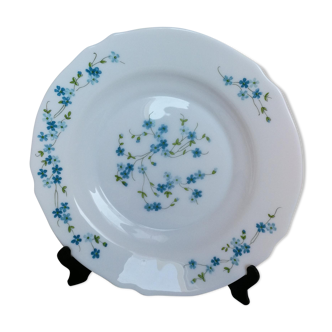 6 arcopal hollow plates veronica myosotis blue flowers 70s