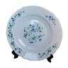 6 arcopal hollow plates veronica myosotis blue flowers 70s