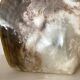 Oyster pearl catchall