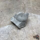 Gray ammonite fossil