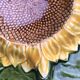 Begging dish and sunflower slip salad bowl
