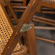 Suite de 11 chaises pliantes avec cannage 1980 entourage bois