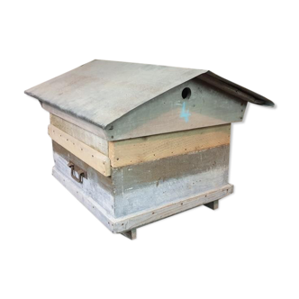 Ancient hive