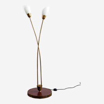 Vintage Czechoslovak Floor Lamp by Kamenický Šenov, 1960s