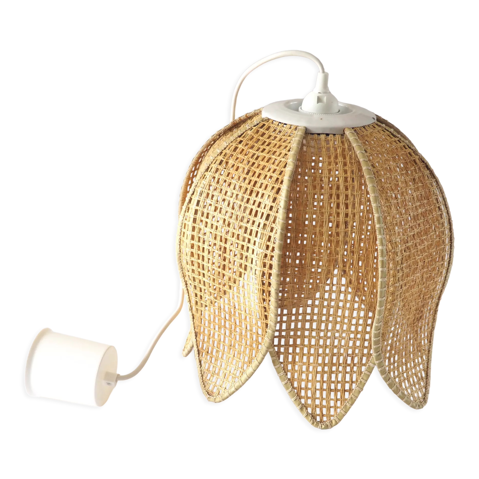 Suspension flower bell in canning