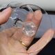 4 Libbey Rock Sharpe Crystal Champagne Coupes