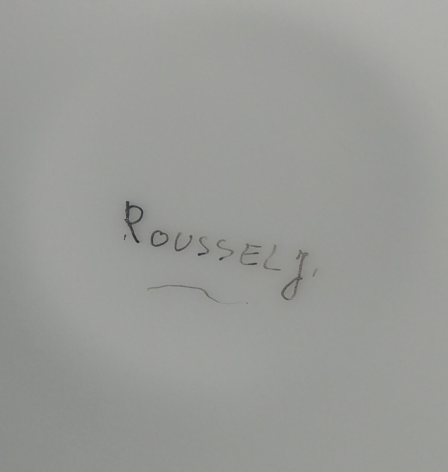 Coffee porcelain service -old signed Roussel J. decoration daisy
