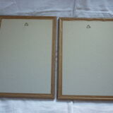 2 reproductions of botanical drawings by P. Bessa