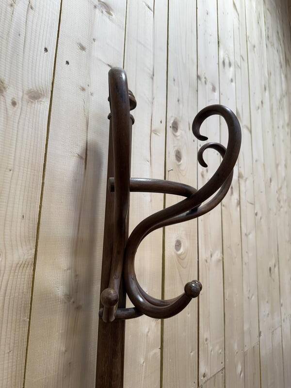 Portemanteau - Perroquet Thonet en bois courbé