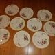10 dessert plates painted decorated with flowers, insects (all different)