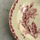 Hollow plate - Gien Cactus