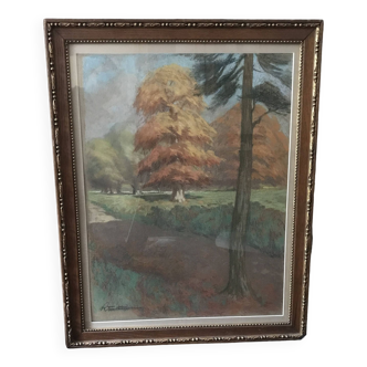A wooded path, pastel