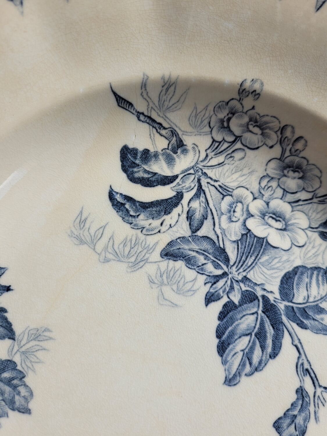 Set of 2 hollow plates Flore U&C Sarreguemines