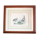 Ornithological board Edouard Traviès "La Perdrix Grise and La Perdrix Rouge