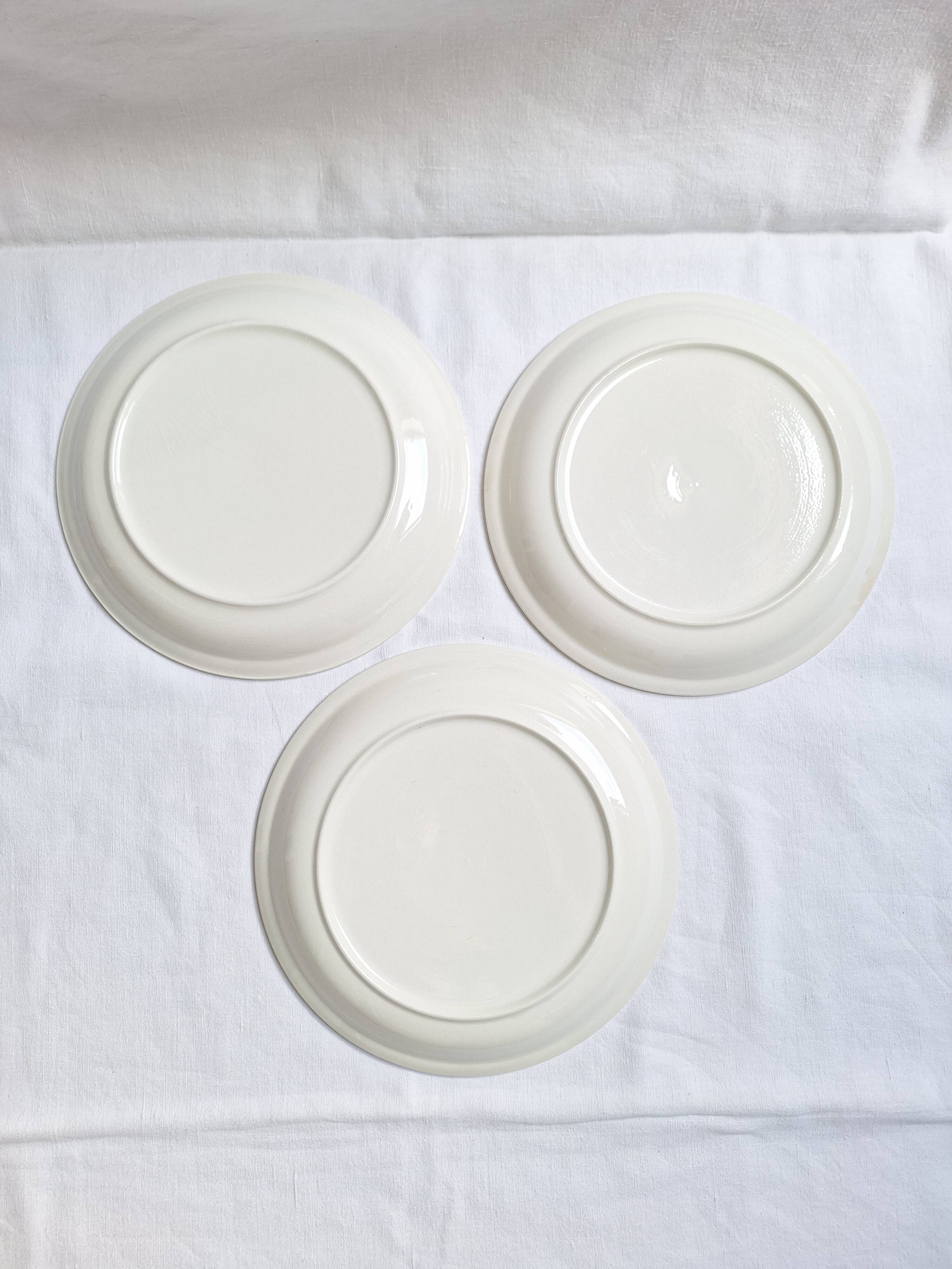 Assiettes plates moulin bleu vintage