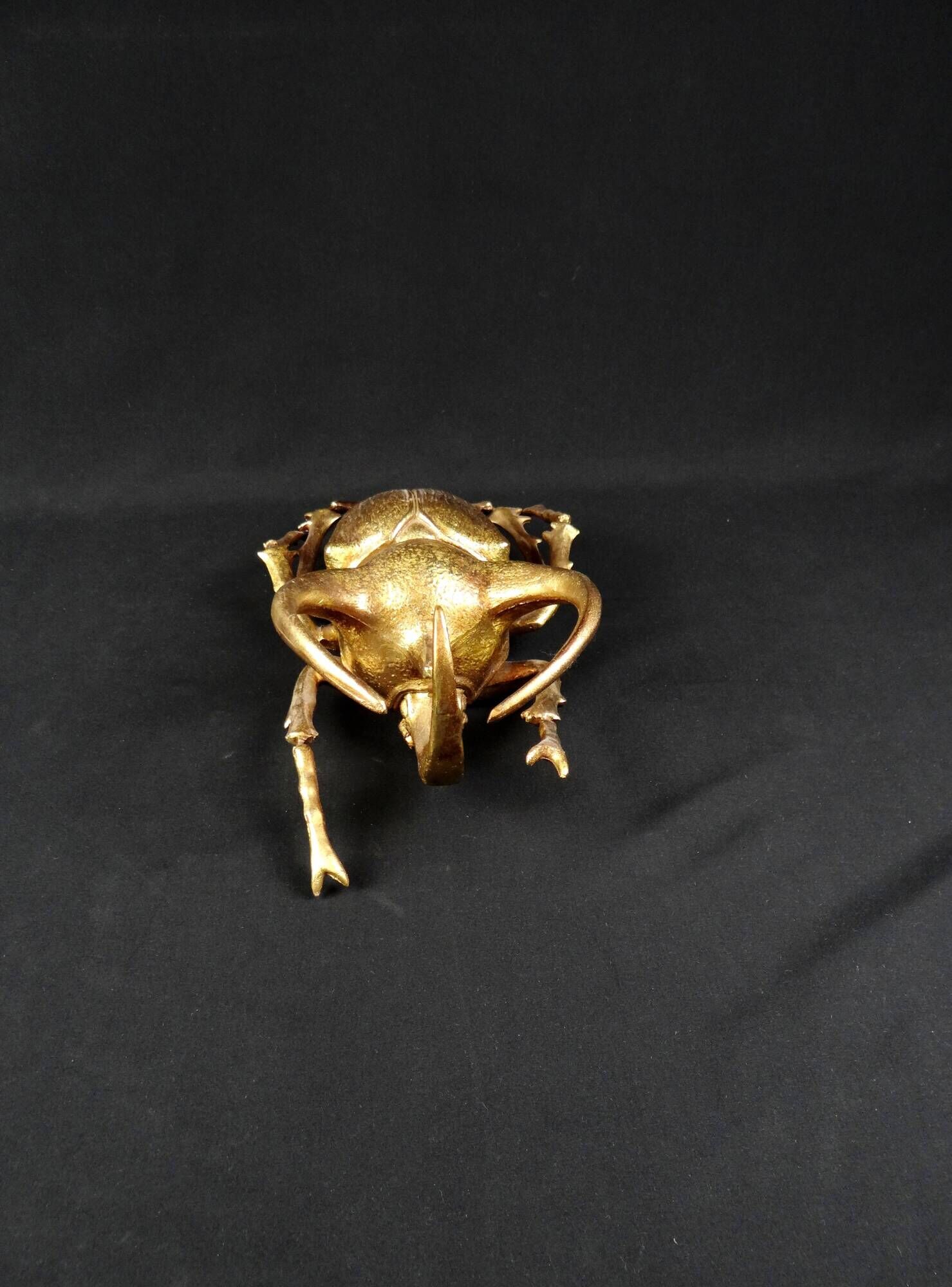 Contemporary style golden scarab wall sculpture in resin and metal