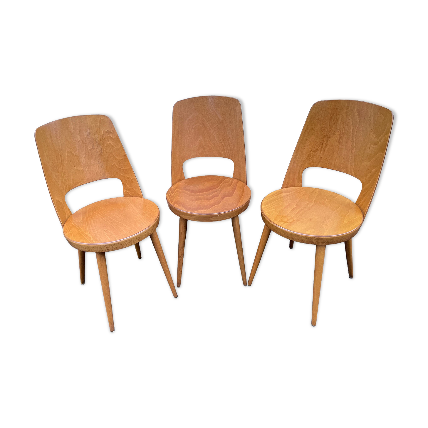 Baumann chairs "mondor"