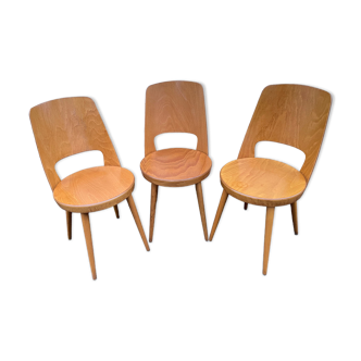 Baumann chairs "mondor"