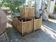 Set of 20th century cast iron planters
