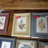 5 herbariums, framed floral arrangement