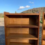 Pair of vintage glass shelves libraries