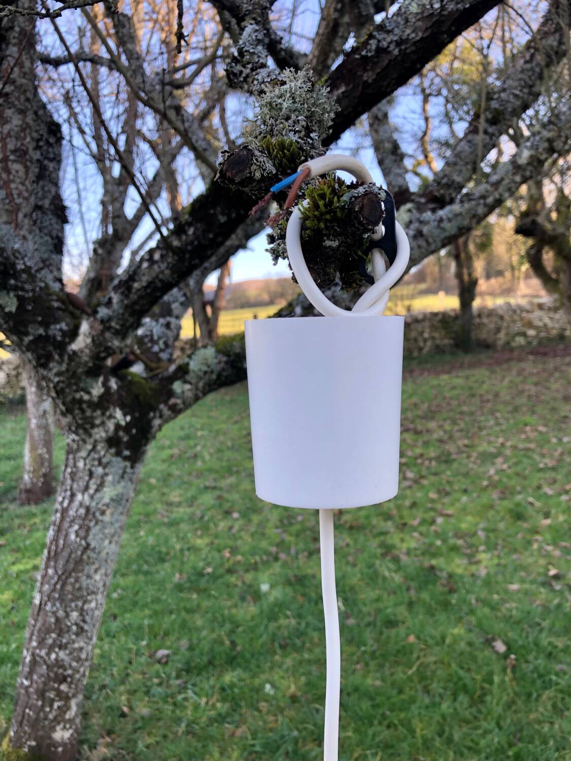 Bamboo ball pendant light