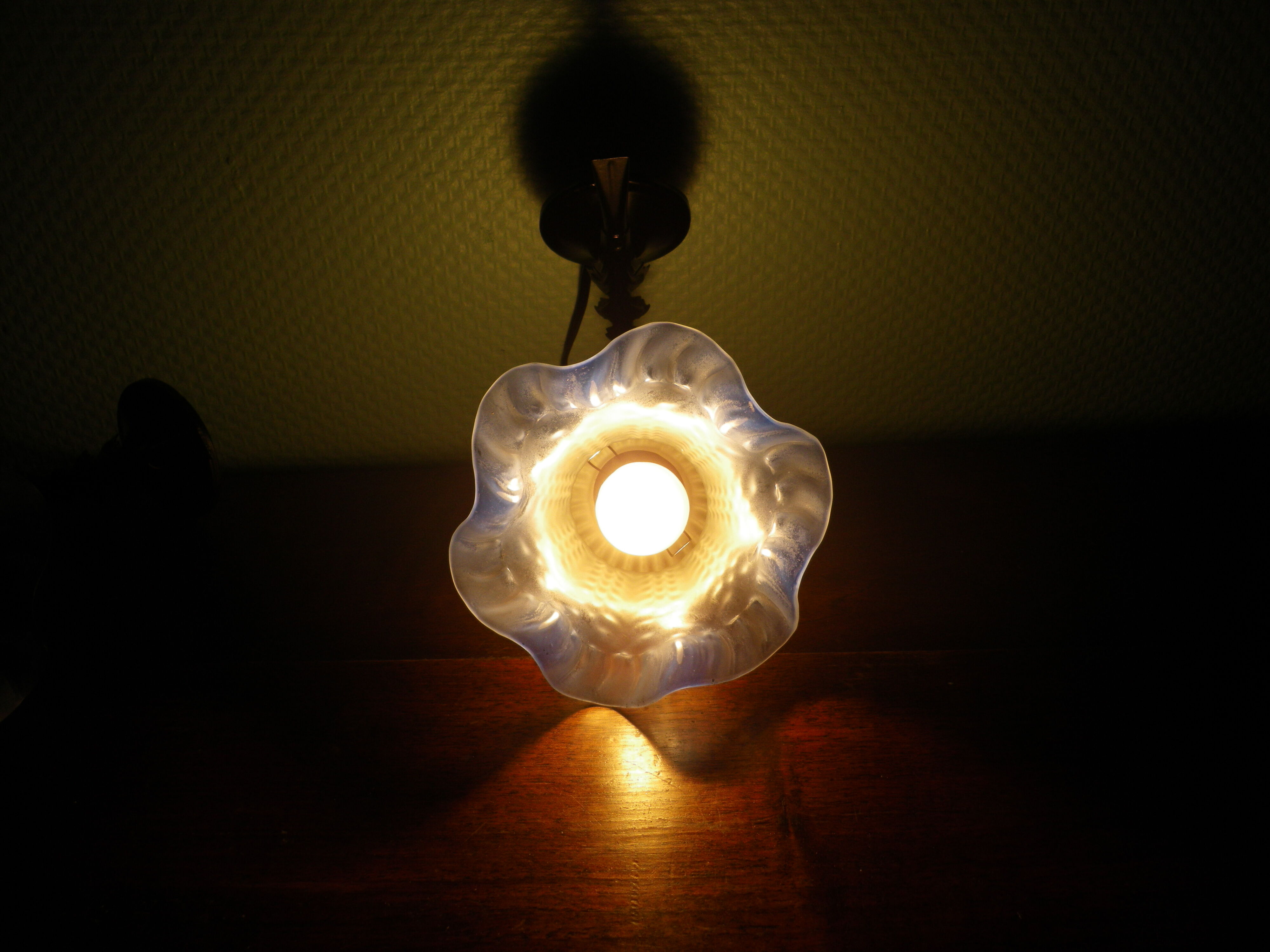 Wall sconces with opalines in the shape of corollas and black metal support