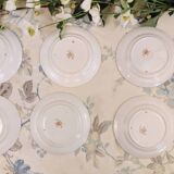 6 assiettes à thé Royal Stafford