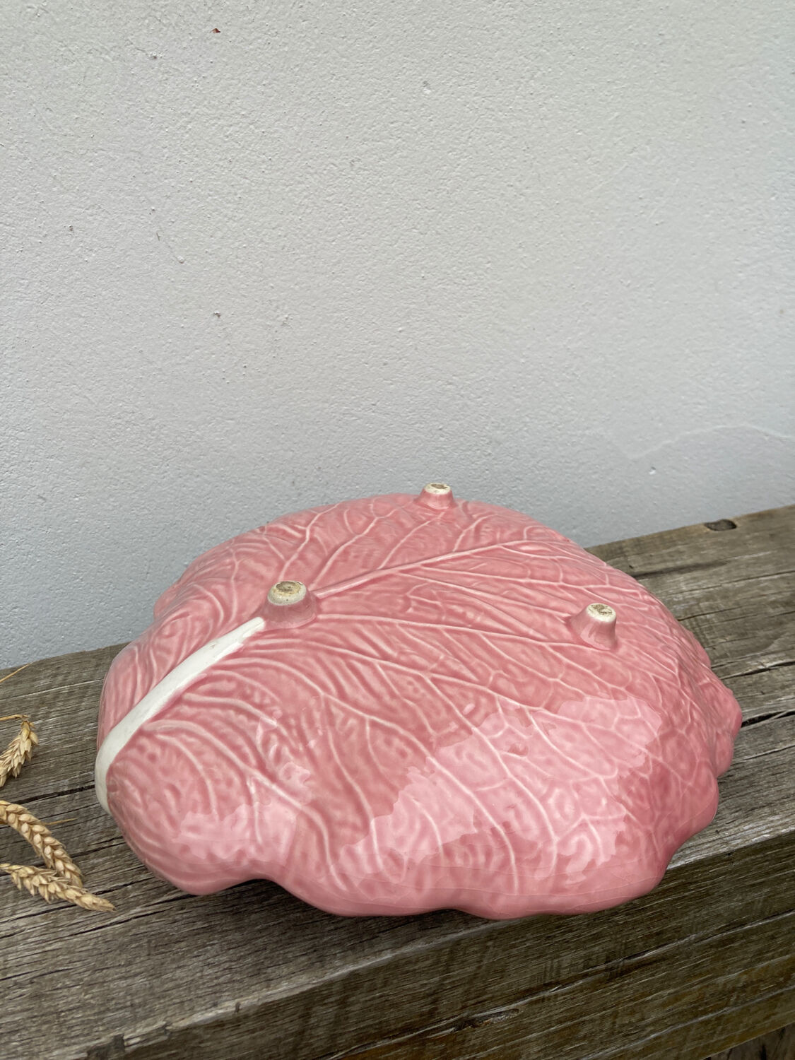 Slip pink cabbage leaf flat empty pocket