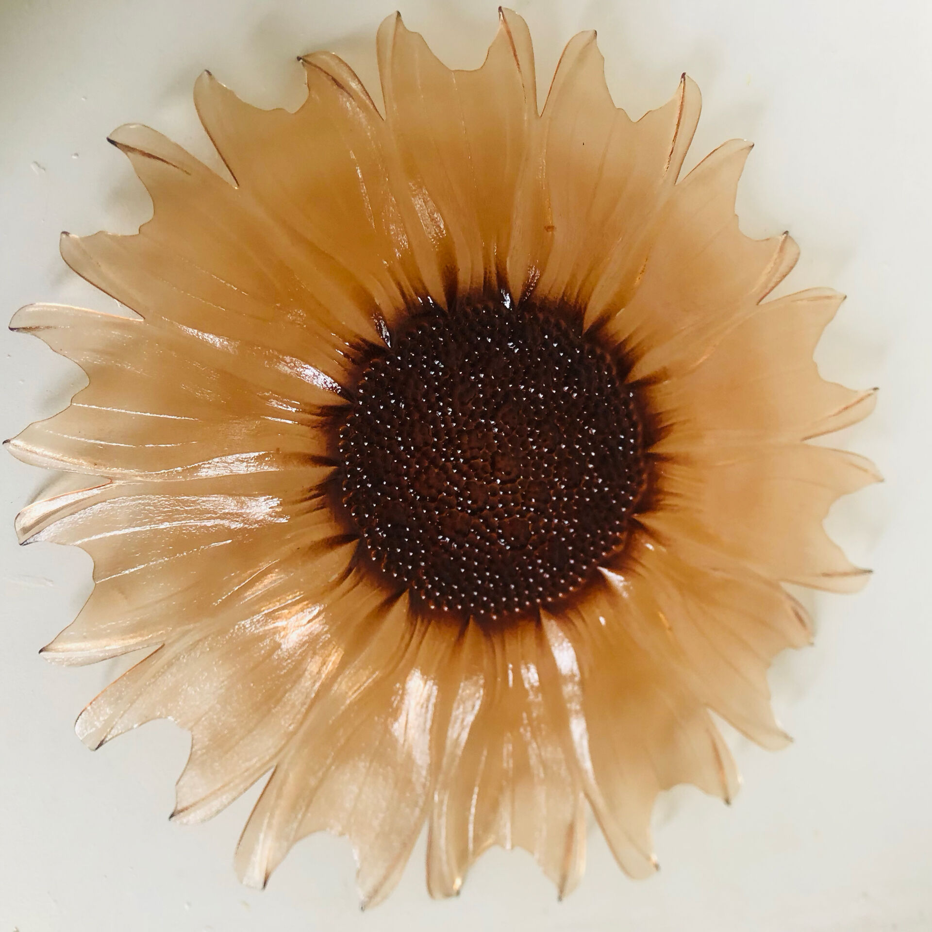 Plat tournesol en verre moulé pressé circa 1960