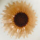 Plat tournesol en verre moulé pressé circa 1960