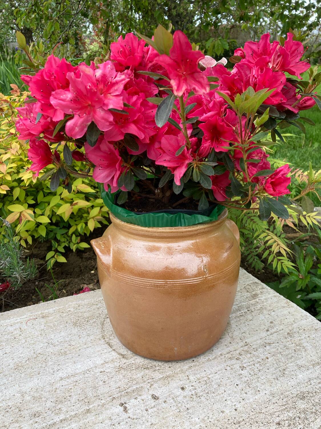 Light brown ceramic jar